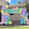 Pastel Balloons Assorted Color 12 Inches