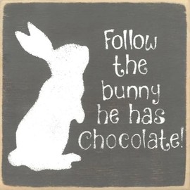 Farmisms 5x5 Inspirational Wooden Rustic Country Signs for Country Farm Living –Follow The Bunny He has The Chocolate!