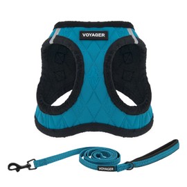 Voyager Step-in Plush Dog Harness – Soft Plush, Step in Vest Harness and Reflective Dog 5 ft Leash Combo with Neoprene Handle for Small and Medium Dogs by Best Pet Supplies -Set (Turquoise Plush), M