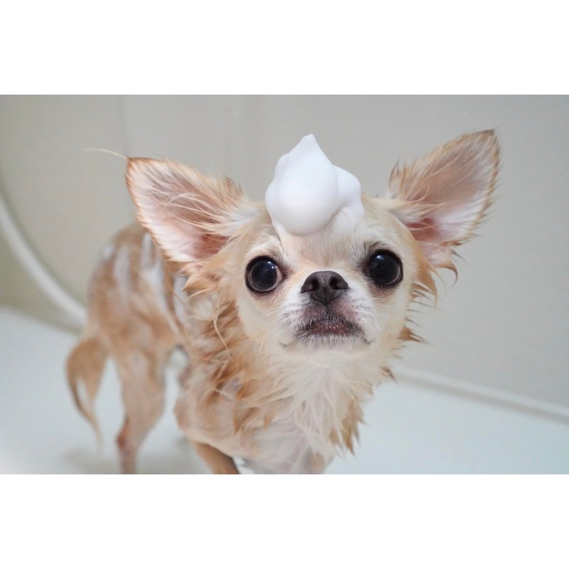 [For Dogs and Cats] Skin Care [Organic] Dogs