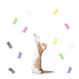 Andiker Cat Springs for Indoor Cats, 12Pc Cat Creative Toy to Kill Time and Keep Fit Interactive Cat Toy Spring Colorful Springs Cat Toy for Swatting, Biting, Hunting Kitten Toys (Colorful)