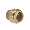 PROCURU 1-1/2 Inch PushFit End Cap, Push-to-Connect Brass Plumbing Fitting