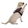 Dogline Do Not Pet Patchs for Harness and Vest Removable