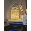 ShowMe White Button Mushroom Agaricus bisporus Liquid Culture Syringe 10+