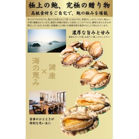 Live Abalone, Large Size, 17.6 oz (500 g) (90 - 100 g/Piece, 5 to 6 Pieces)] Lively Abalone, Super Fresh Gourmet, Ezo Abalone, Sashimi, with Shells, Fresh Barbecue, With Shell