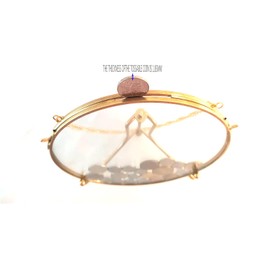 WANLIAN Coin Display Stand with Gold Frame, Coin Display Stand, Wall + Iron Shelf Coin Collector's Stand, Currency Dollar Collector's Stand for Collectors, Glass Savings Jar (Round)