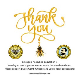 Sweet Comb Chicago: Acondicionador de barba de cera de abeja, fuerte sujeción para tu barba, fortalece y suaviza barbas y bigotes, cera acondicionadora para hombres