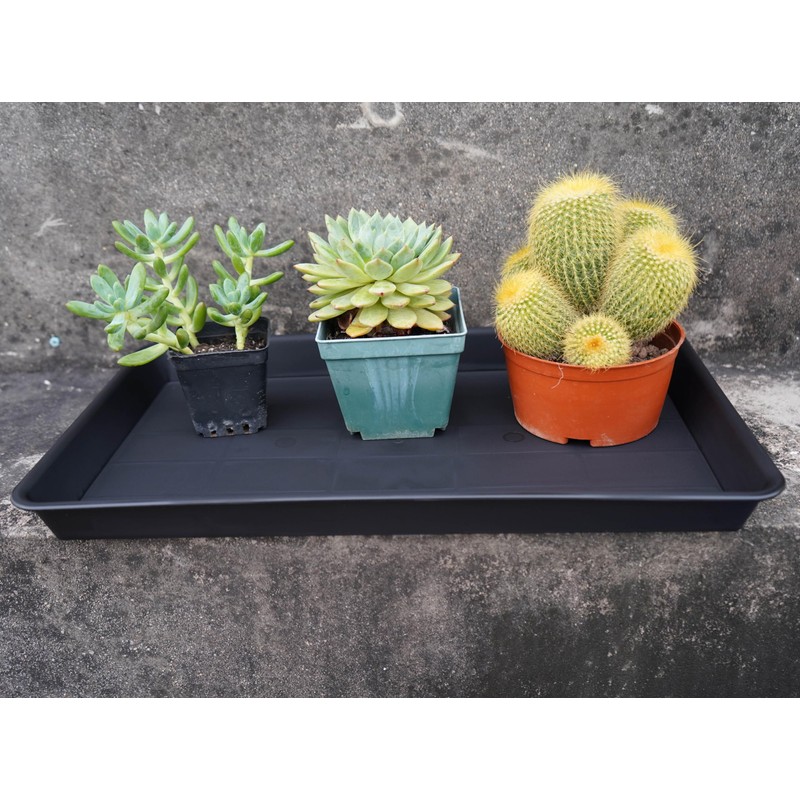 VUWEZ 2 Pack Plant Saucer Tray Rectangular, Plant Growing Nursery