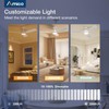 Amico Ceiling Fans with Lights, 52 Inch Ceiling Fan with