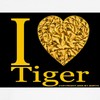 CafePress I (Heart) Tiger Dog T Shirt Dog T-Shirt, Pet