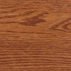 Varathane Premium Fast Dry Wood Stain Spray, 10.25 oz, American