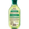 Garnier Botanic Therapy Shampoo Cleans and Refreshes Green Tea 400