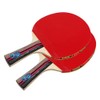 Ping Pong Paddles Quality Table Tennis Rackets 2 Ping Pong