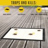 Cricket Traps Indoor (12 Traps) Extra Large Bug Sticky Traps