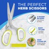 Jenaluca 5 Blade Herb Scissors - Salad Scissors - Cut
