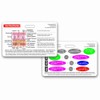 Burn Classifications and Parkland Formula Horizontal Badge Card (1 Card)