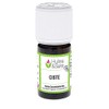 Cistus Essential Oil (Organic)