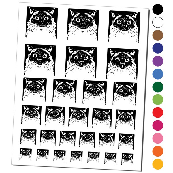 Pretty Siamese Cat Temporary Tattoo Water Resistant Fake Body Art