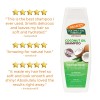 Palmer’s Palmer'S Coconut Oil Formula Moisture Boost Conditioning Shampoo, 13.5