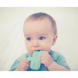 Lanco Toys 90533 Teether