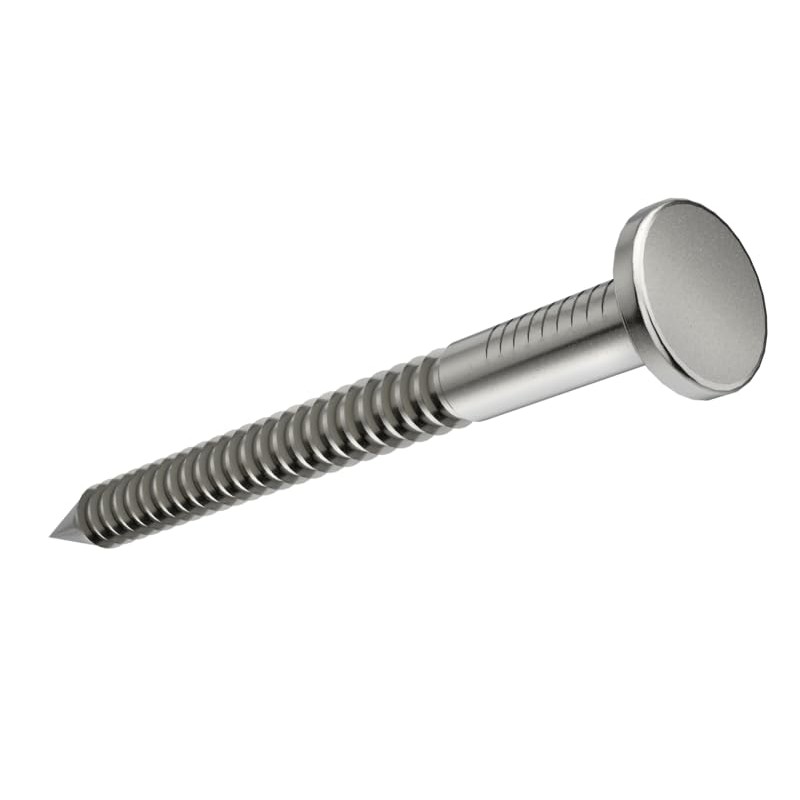 3.8mm x 100mm Ring Shank Steel Nails Galvanised (Pack of