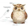 STAR MOON Wax Melt Warmer For Scented Wax Electric -