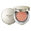 DECORTÉ AQ Brush 07, 0.16 oz (4.6 g), Cheek