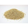 Domestic White Sesame 10.6 oz (300 g) (Roasted)