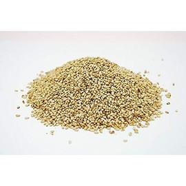 Domestic White Sesame 10.6 oz (300 g) (Roasted)