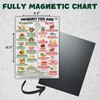 Pregnancy Food Guide Magnetic Chart A4 – Fridge Magnet with