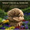 VViViD Gardening Burlap Roll (40” x 80ft) Tree Wrap Natural