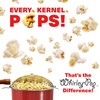 Original Whirley-Pop Popcorn Popper - Nylon Gear - Red