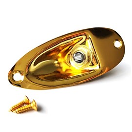 Guitar Anatomy Stratocaster Jack Plate and Socket 1'4 Mono - Gold