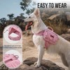 OneTigris Dog Backpack for Medium & Large Dogs, Mammoth Nylon