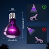 HARTOMPET 75W Reptile Night Light Bulb - Purple Basking Lamp