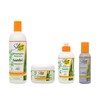 Silicon Mix Bambu Shampoo 16oz & Treatment & Leave-in 8oz