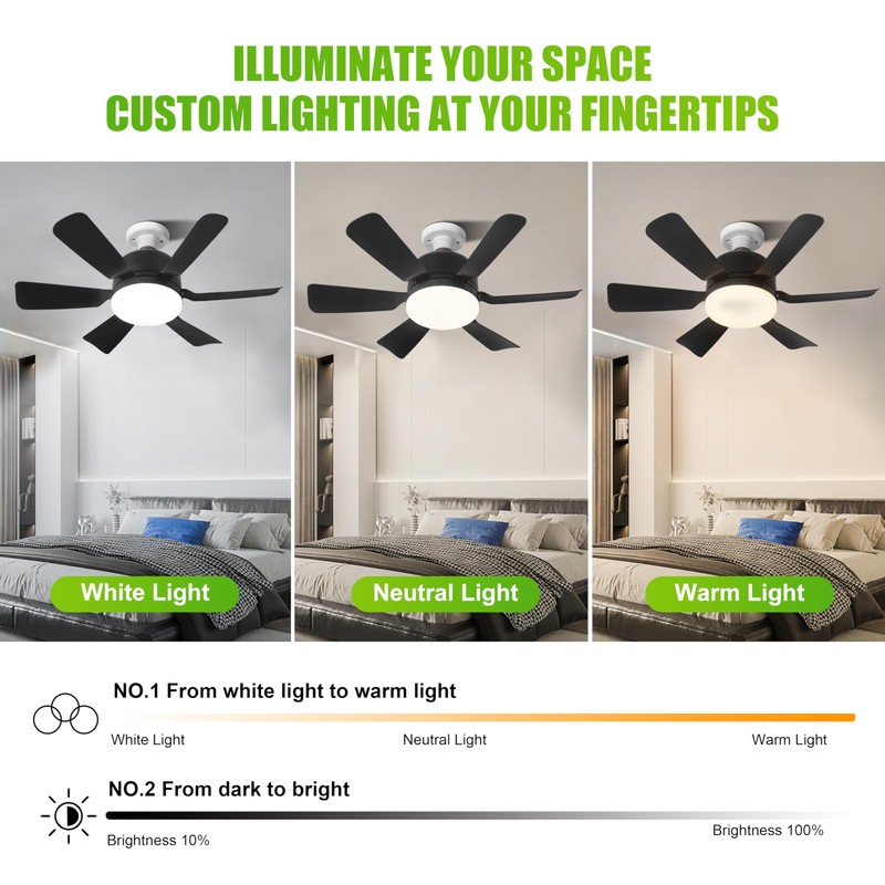 Socket Ceiling Fan Light with Remote and 1 Socket Extender,