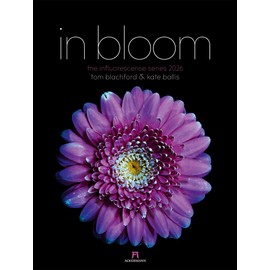 in bloom Kalender 2026 | Floraler Design-Kalender im großen Hochformat (50x66 cm) | Blüten-Portraits | im Nanographic-Printing-Verfahren gedruckt