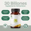 Innata Bioflora Probióticos y Prebióticos en Cápsulas (35 cápsulas de