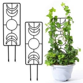 Moon Phase Plant Trellis 3 Pack, 14.25 Inch Small Trellis for Potted Plants, Metal Plant Trellis for Climbing Plants Indoor, Black