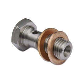 PrecisionGeek - Banjo Bolt M10 x 1.5mm L=20mm Stainless Steel - Set of 1 pcs