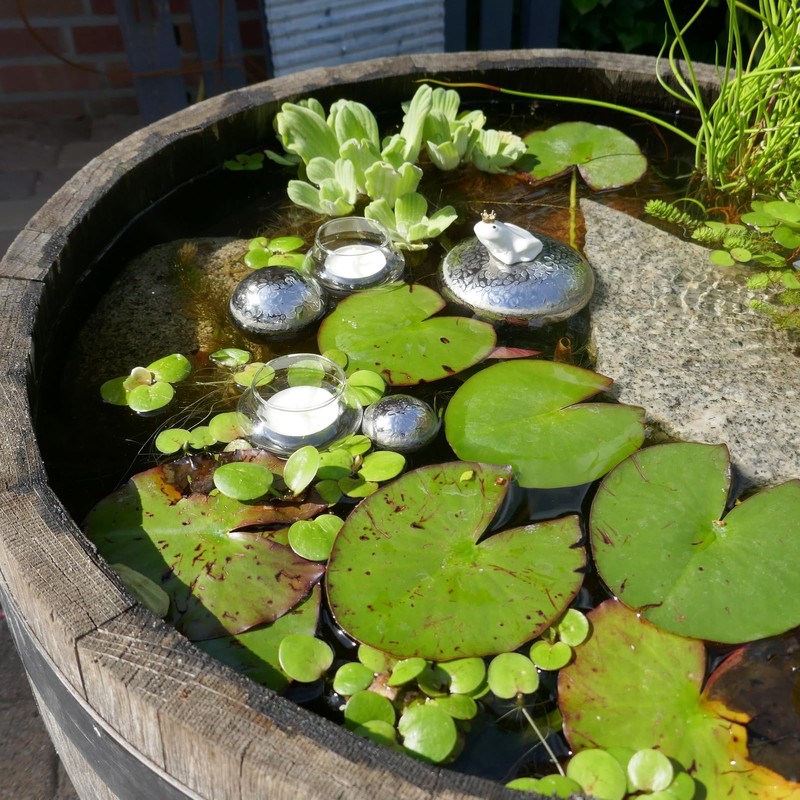 Storm's Gartenzaubereien Mini Pond Complete Set with Swimming Frog Ceramic