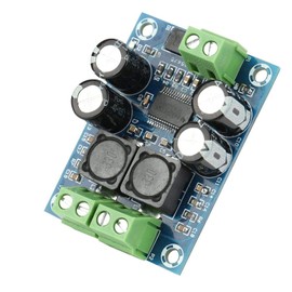 Dilwe 60W DC10-24V TPA3118 Subwoofer Amplifier Board, Mini Digital Audio Power Amplifier Module, Mono Channel