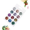Healeved 2 Sets 12 Gel Nail Sticker Pack 12 Colors