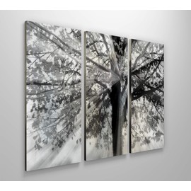 WEXFORD HOME Story from Light and Shadow 3 Panel Gallery Wrapped Canvas Wall Art, 40x60