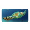 Amel Sea Turtle License Plate Auto Tag Plate Ocean Beach
