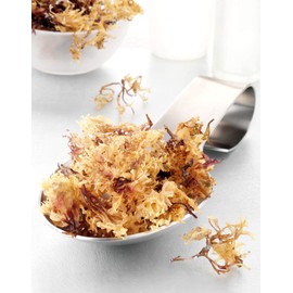 Dried Sea Moss - Premium 100% Natural - Fresh Irish Moss - 8oz - by Semaj Products USA