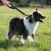 2 Pieces Of Pet Leashes, Wear-Resistant Leashes, Pet Training Supplies,