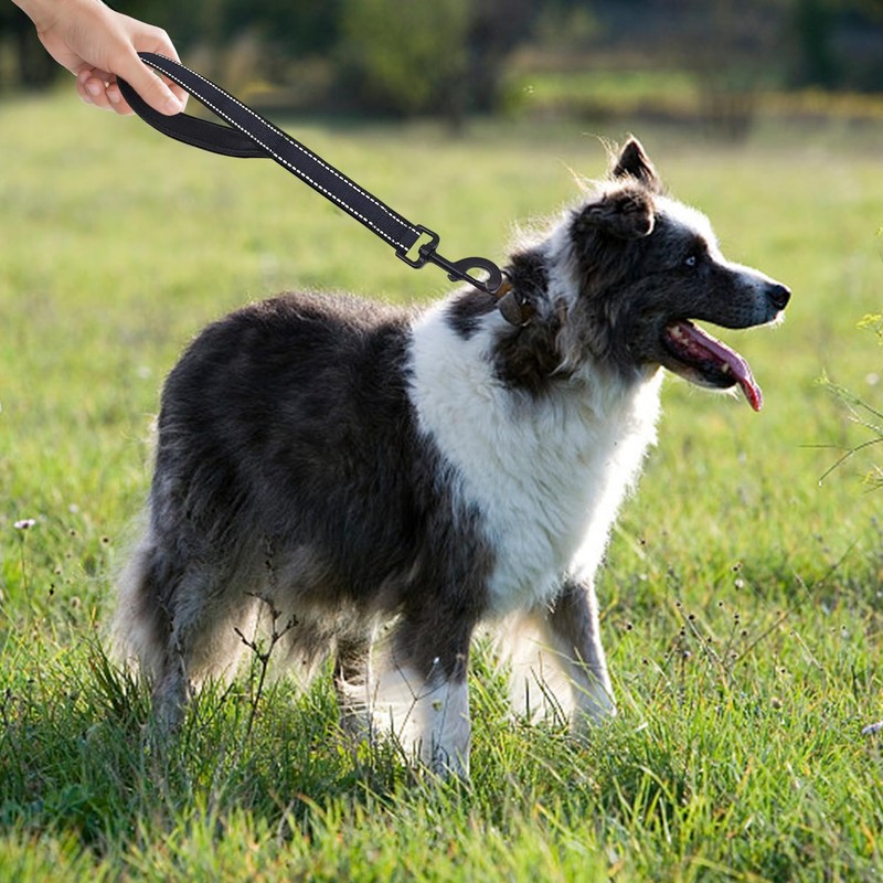 2 Pieces Of Pet Leashes, Wear-Resistant Leashes, Pet Training Supplies,