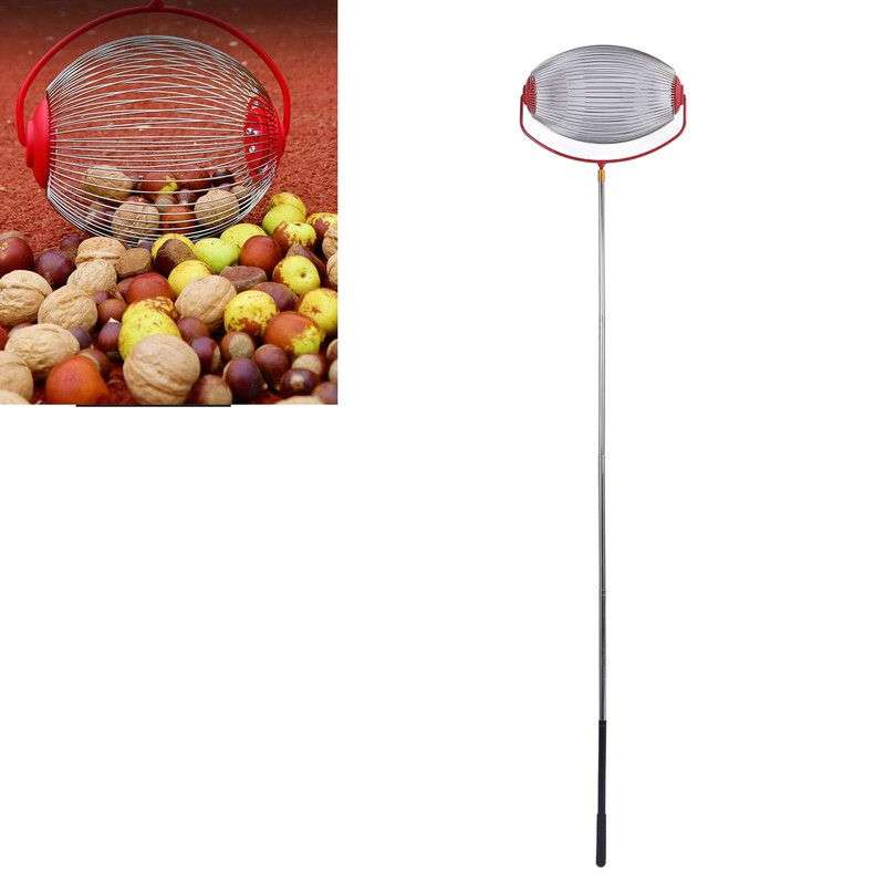 Efficient Fruit Picking Nut Gatherer with Comfortable Handle Design, Walnut